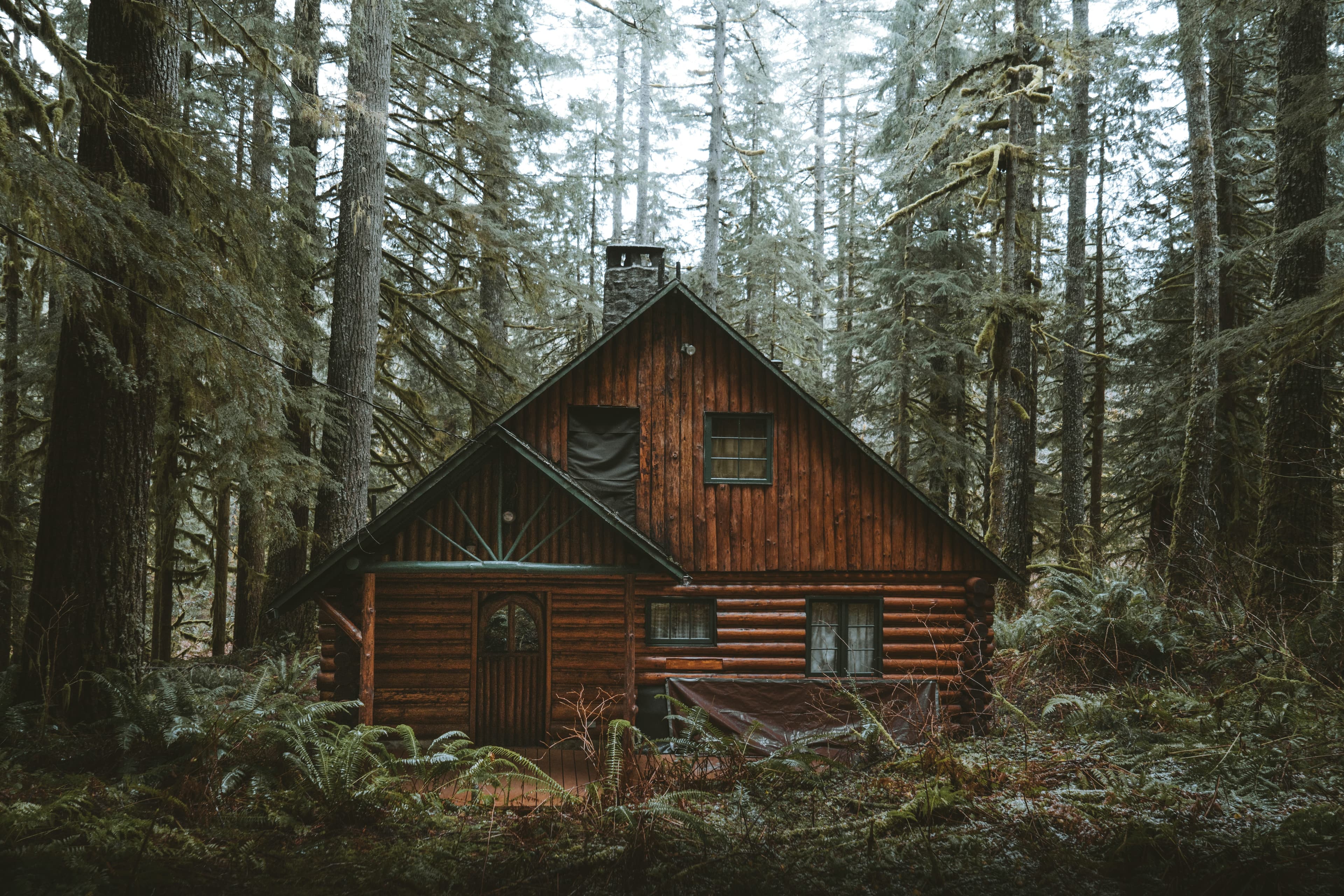 The original cabin founded by the owners
